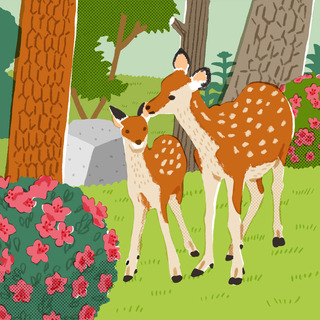 deer1.jpg