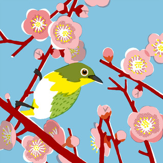 ume2.jpg